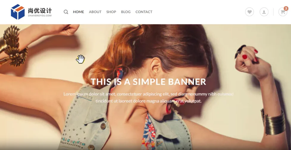 WordPress独立站速度性能提升专题(3个维度提升速度)